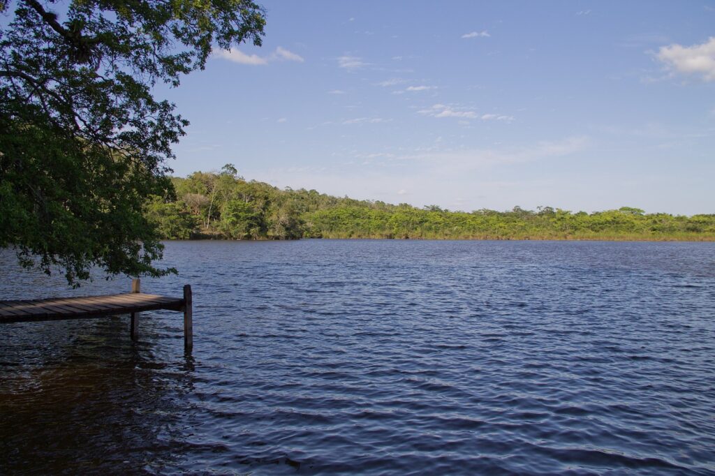 Aguacate Lagoon Wildlife Adventure